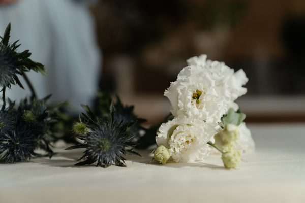 Whimsical Garden Roses