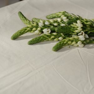 Blueberry Blossom Basket