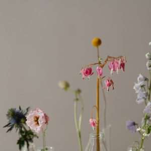 Pink Peony & Ferns