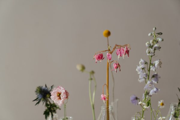 Pink Peony & Ferns